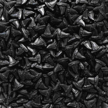 Load image into Gallery viewer, Witch Hat Candy Sprinkles