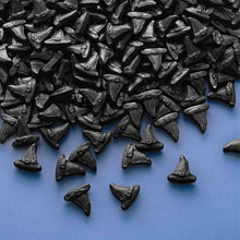 Load image into Gallery viewer, Witch Hat Candy Sprinkles