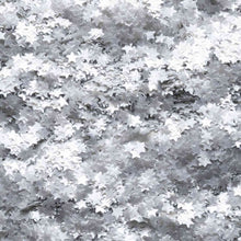 Load image into Gallery viewer, Glitter Silver Star