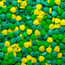 Load image into Gallery viewer, Monstera Candy Sprinkles