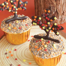 Load image into Gallery viewer, Fall Leaves Quin Sprinkles