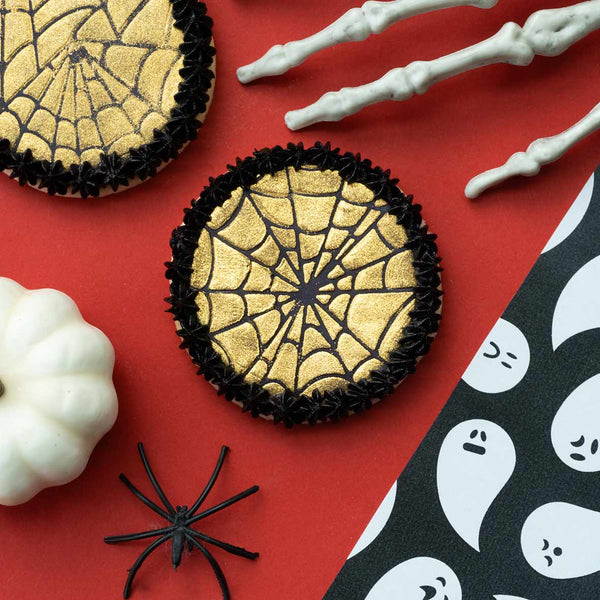 5.9" x 5.9" Spider Web Cookie Stencil