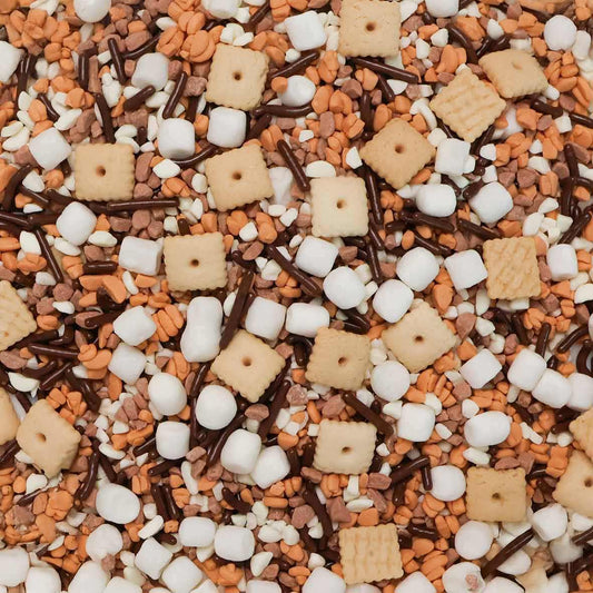 Making S'Mores Memories Ice Cream Toppings