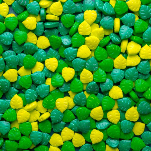 Monstera Candy Sprinkles