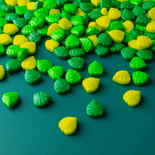 Monstera Candy Sprinkles