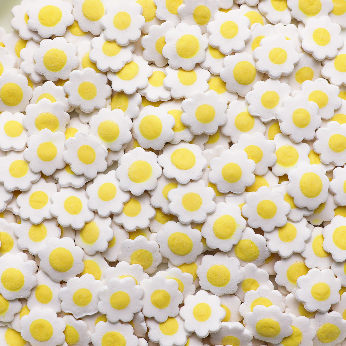 White Daisy Edible Cake Decoration